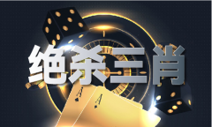 2024年正版全年材料_4年正版全年材料下载