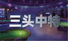 澳门六码大公开澳