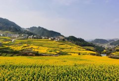 <b>仁怀：解锁和美村落“幸福暗码”</b>
