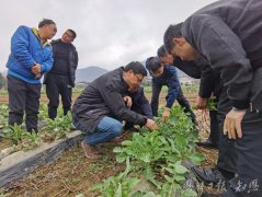 身边楷模 江山耕读十三春 阡陌深处有回